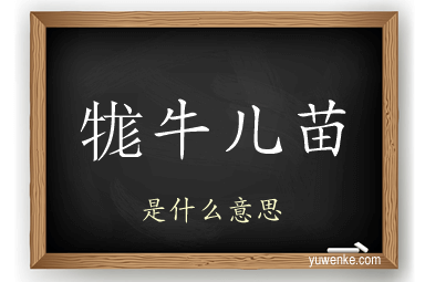 牻牛儿苗