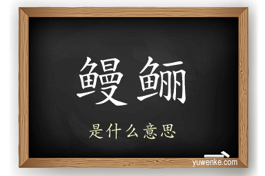 鳗鲡