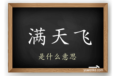 满天飞