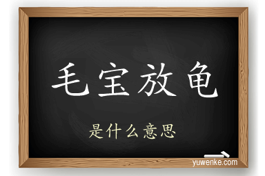 毛宝放龟