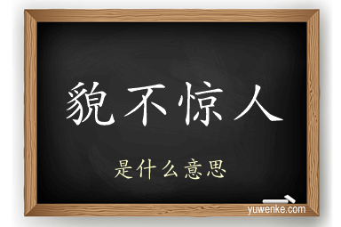 貌不惊人