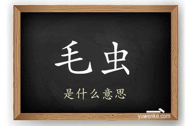 毛虫