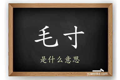毛寸