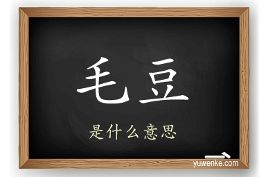 毛豆