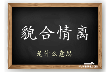 貌合情离
