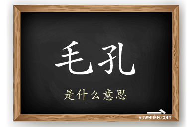 毛孔