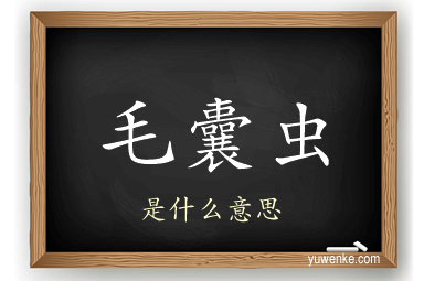 毛囊虫