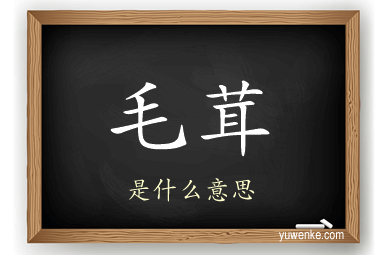 毛茸