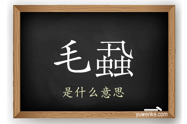毛蝨