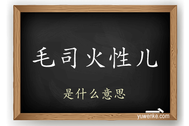 毛司火性儿