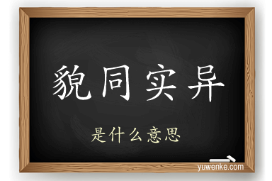 貌同实异