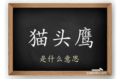 猫头鹰