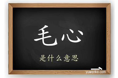 毛心