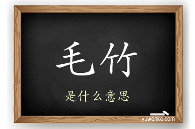 毛竹