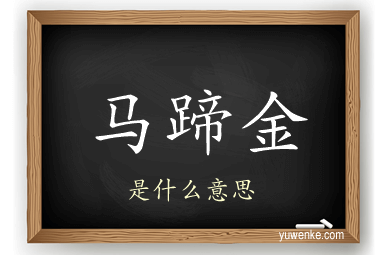 马蹄金