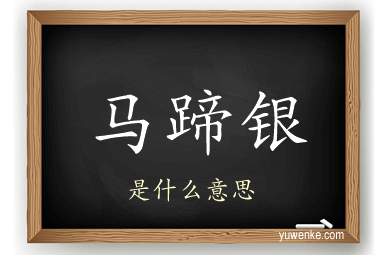 马蹄银