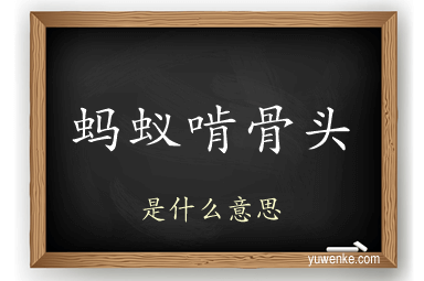 蚂蚁啃骨头