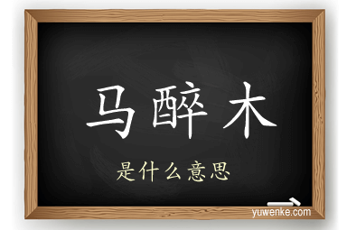 马醉木