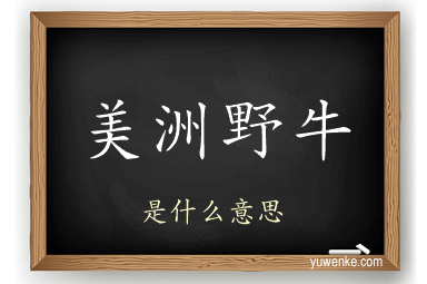 美洲野牛
