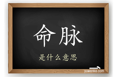 命脉