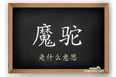 魔驼