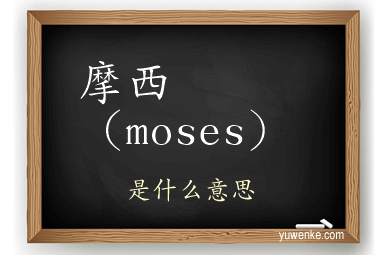 摩西（moses）