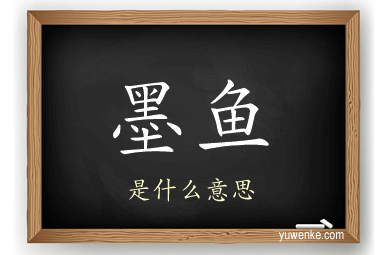 墨鱼
