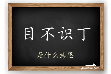 目不识丁