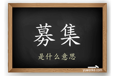 募集