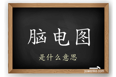 脑电图