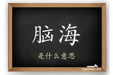 脑海
