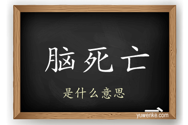 脑死亡
