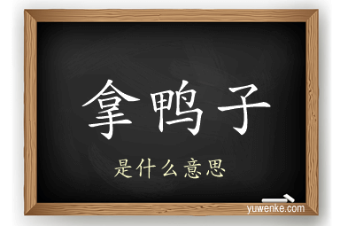 拿鸭子