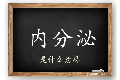 内分泌
