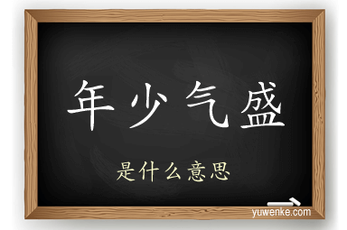 年少气盛
