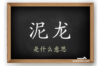 泥龙