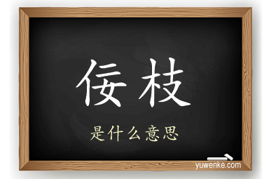 佞枝