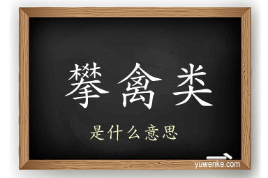 攀禽类
