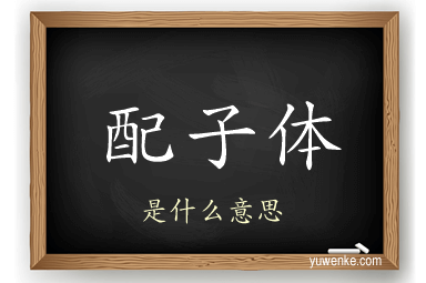 配子体