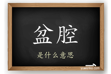盆腔