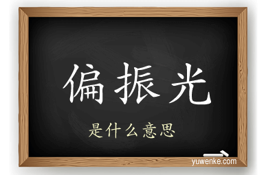 偏振光