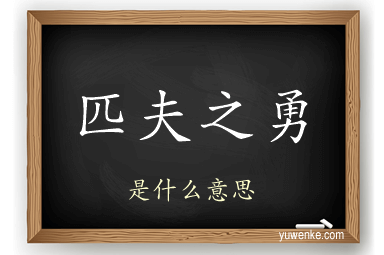 匹夫之勇