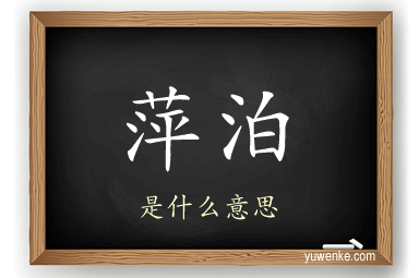 萍泊