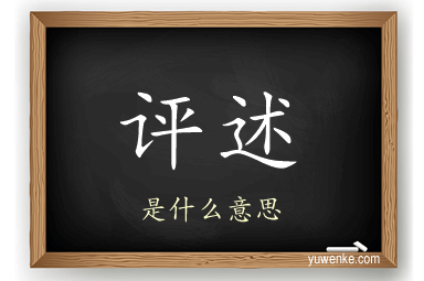 评述