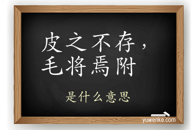 皮之不存,毛将焉附