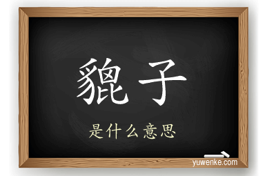 貔子