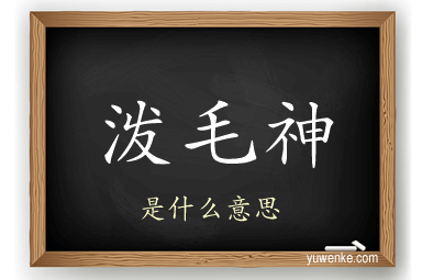 泼毛神