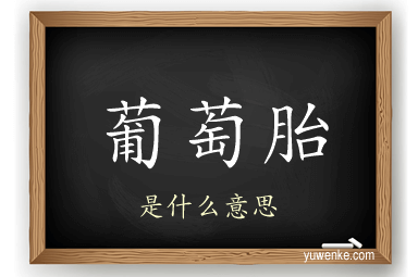 葡萄胎