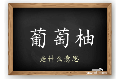 葡萄柚