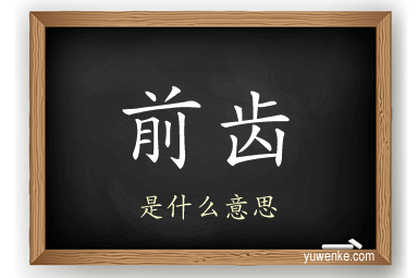前齿